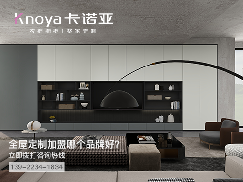 鬆原市全屋定製加盟哪個品牌好?鬆原市全屋定製招商加盟政策